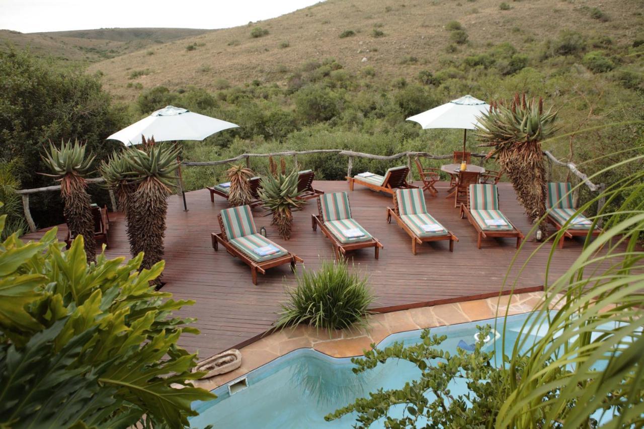 Lalibela Game Reserve Lentaba Safari Lodge Paterson Экстерьер фото