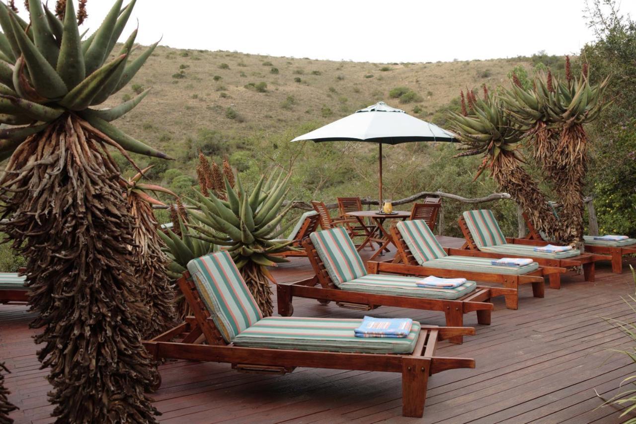 Lalibela Game Reserve Lentaba Safari Lodge Paterson Экстерьер фото